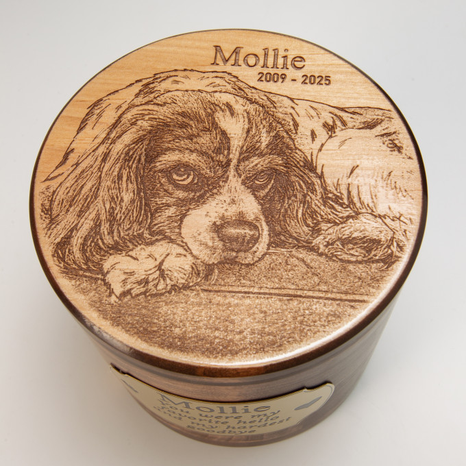 Urn for Dog Ashes 