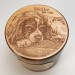 Urn for Dog Ashes 